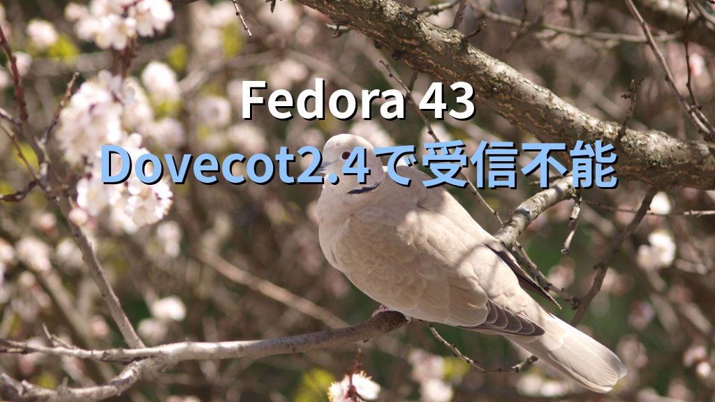 Fedora 43のDovecot 2.4でOutlook受信不能｜平文認証の既定変更と互換検証