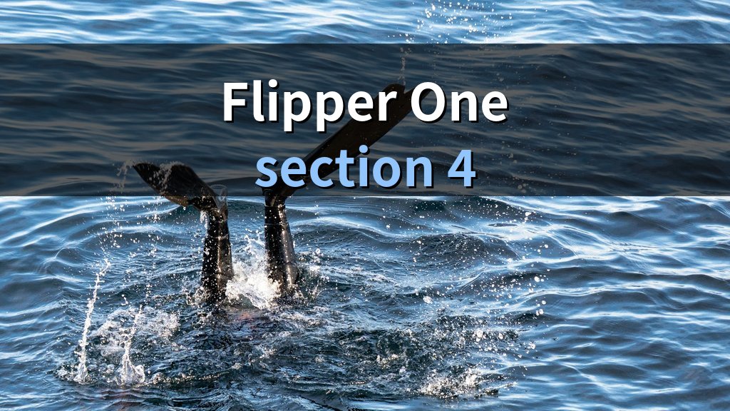 Flipper One徹底解説｜RK3576+RP2350のLinuxサイバーデッキは何ができるのか - 解説3
