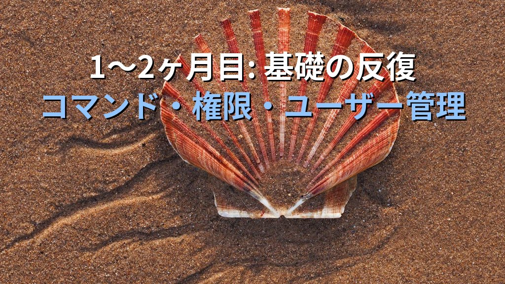 未経験からLinuxエンジニアへ転職する最短ロードマップ【6ヶ月計画】 - 解説1