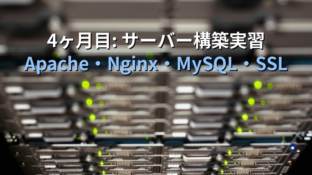 未経験からLinuxエンジニアへ転職する最短ロードマップ【6ヶ月計画】 - 解説2
