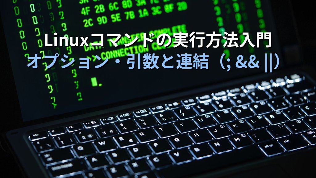 Linuxコマンドの実行方法入門｜オプション・引数と複数コマンドの連結（; && ||）