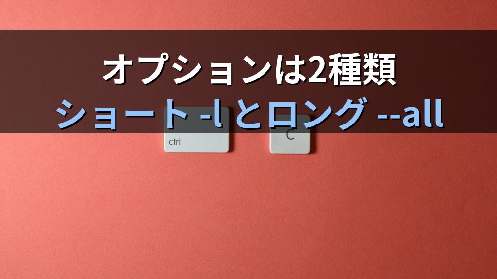 Linuxコマンドの実行方法入門｜オプション・引数と複数コマンドの連結（; && ||） - 解説1